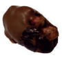 Choco dates pistachio